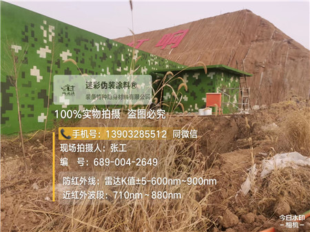 沈阳星空迷彩墙施工队
