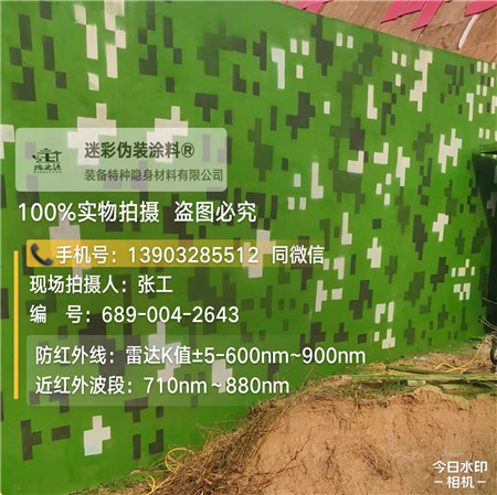 沈阳星空迷彩漆，夏令营训练,数码迷彩作训墙,围墙